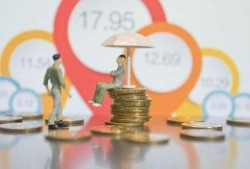 平安普惠贷款平台解析：隐藏的借款渠道与申请技巧，网贷额度高的平台